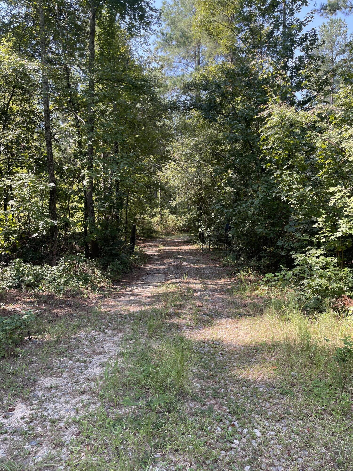 3792 Storm Branch Road Beech Island, SC 29842 - Photo 1 of 1 Front