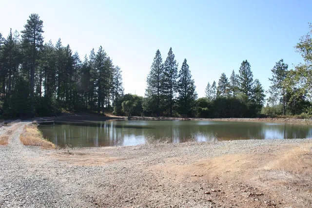 a view of a lake in between two large trees