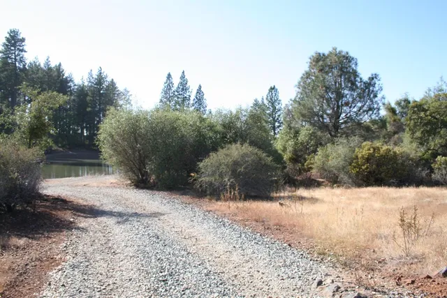 a view of a yard with trees