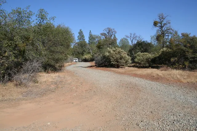 a view of a field with trees in the background