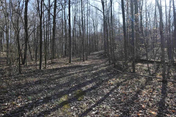 $520,000 | 0 South Harts Gravel Road, Birdseye, IN 47513