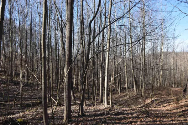 $520,000 | 0 South Harts Gravel Road, Birdseye, IN 47513