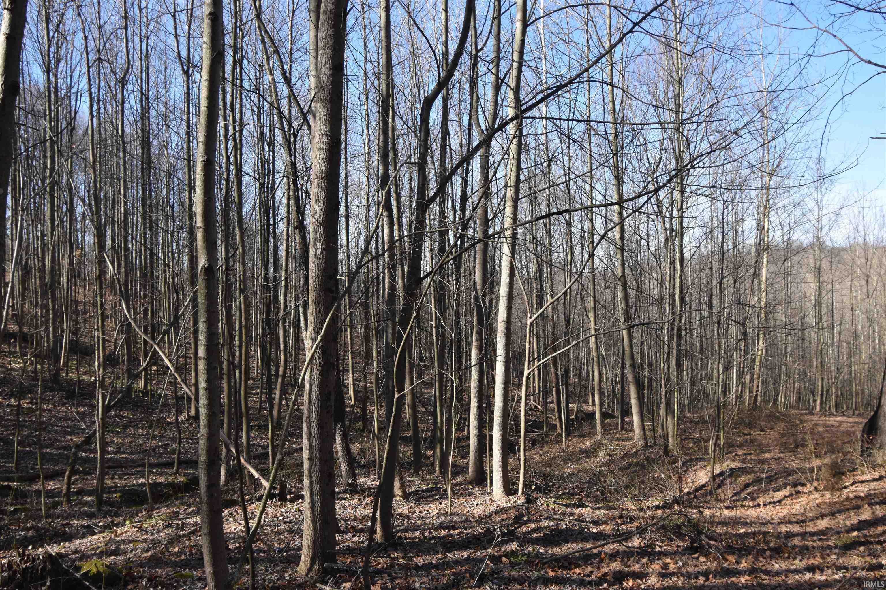 0 South Harts Gravel Road Birdseye, IN 47513 - Photo 19 of 36