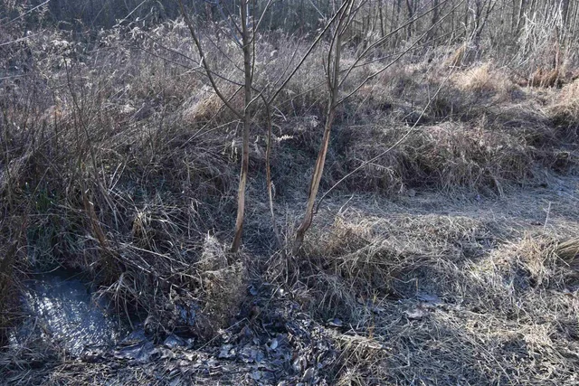 $520,000 | 0 South Harts Gravel Road, Birdseye, IN 47513