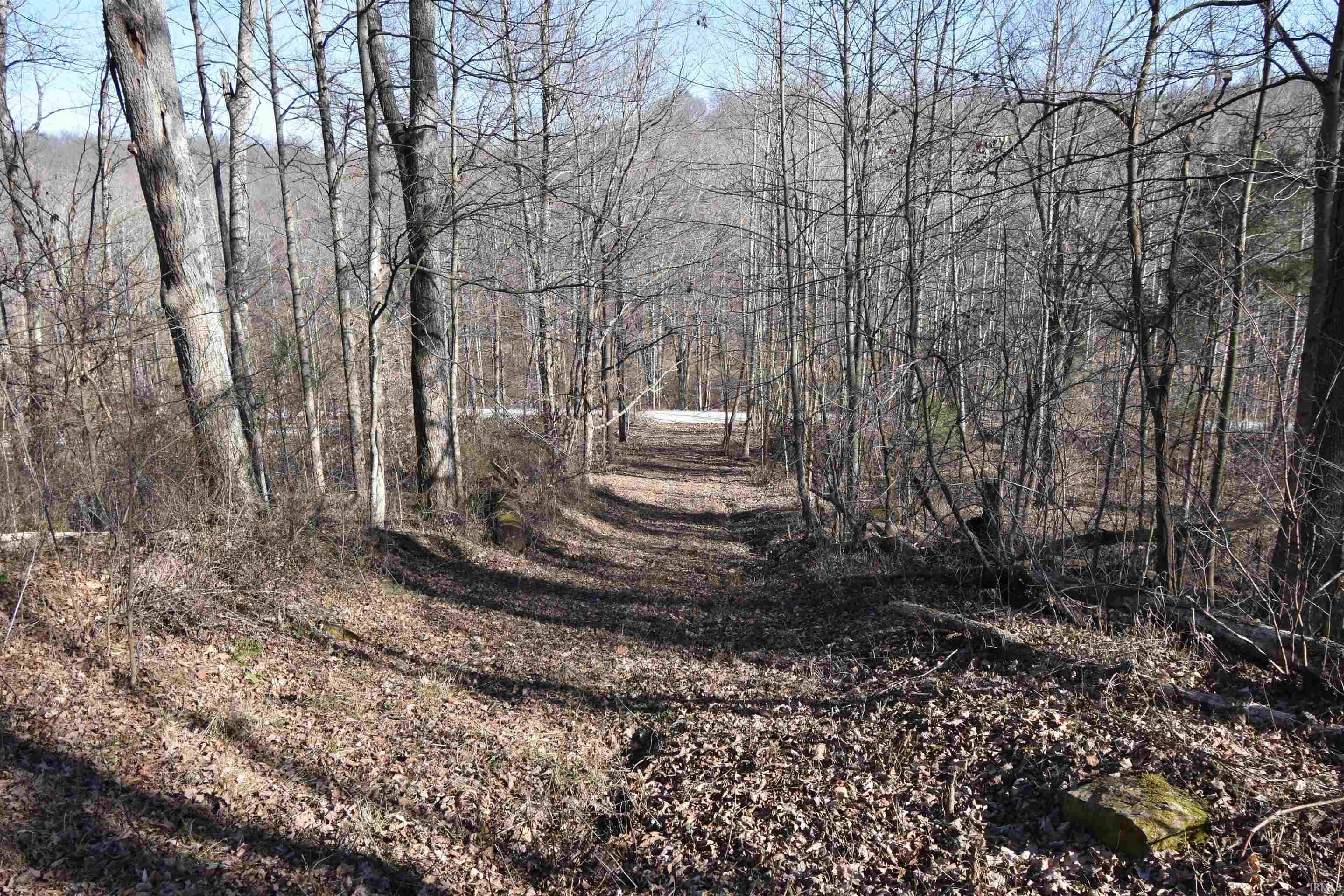 0 South Harts Gravel Road Birdseye, IN 47513 - Photo 21 of 36