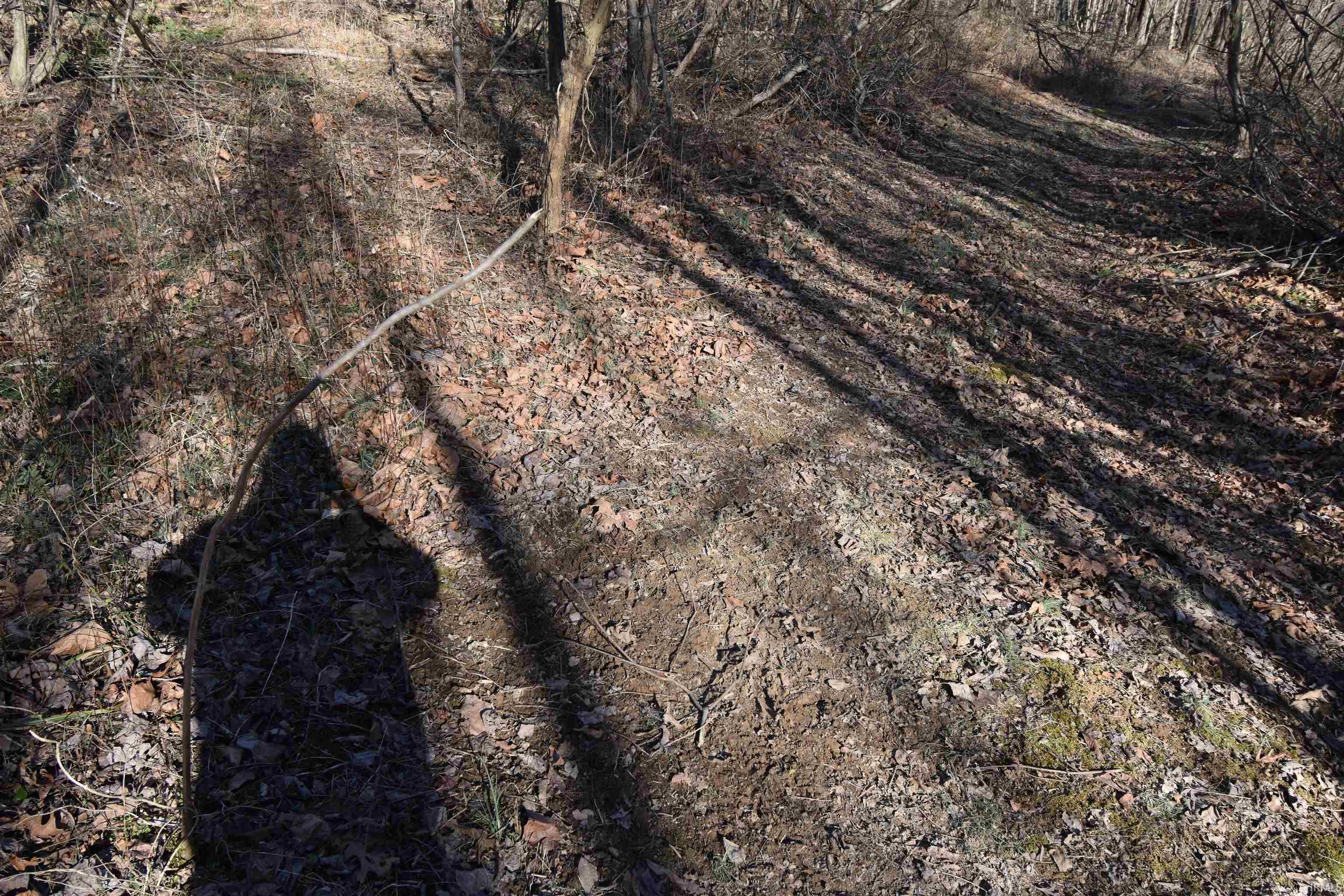 0 South Harts Gravel Road Birdseye, IN 47513 - Photo 21 of 36