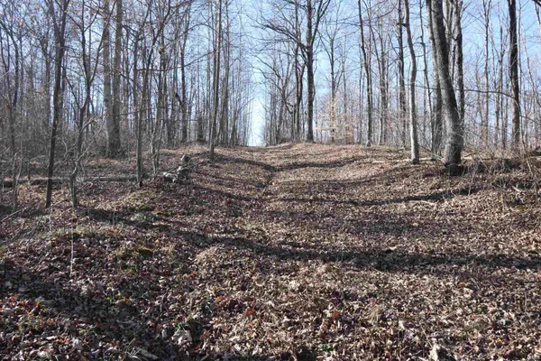 $520,000 | 0 South Harts Gravel Road, Birdseye, IN 47513