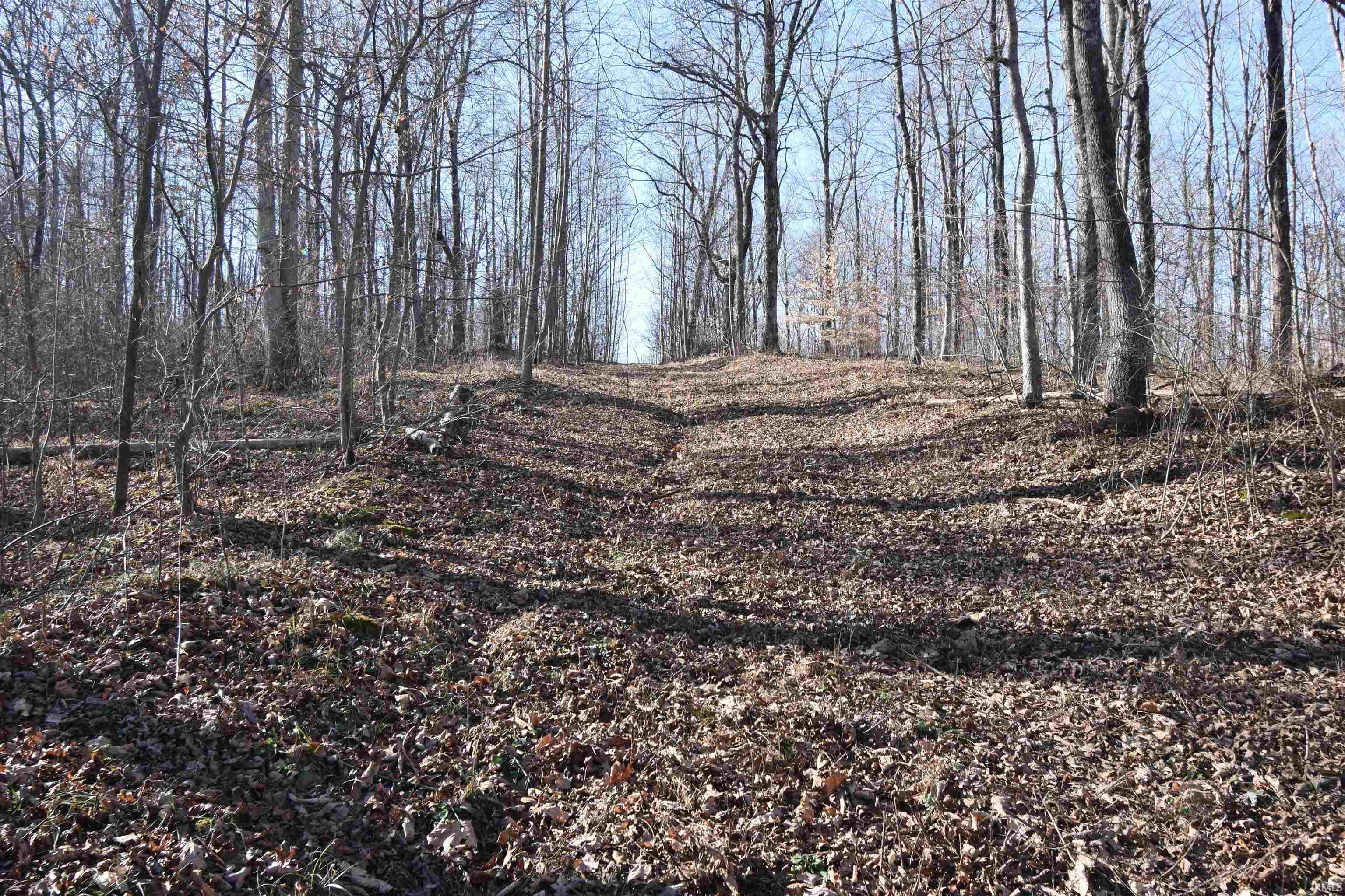 0 South Harts Gravel Road Birdseye, IN 47513 - Photo 22 of 36