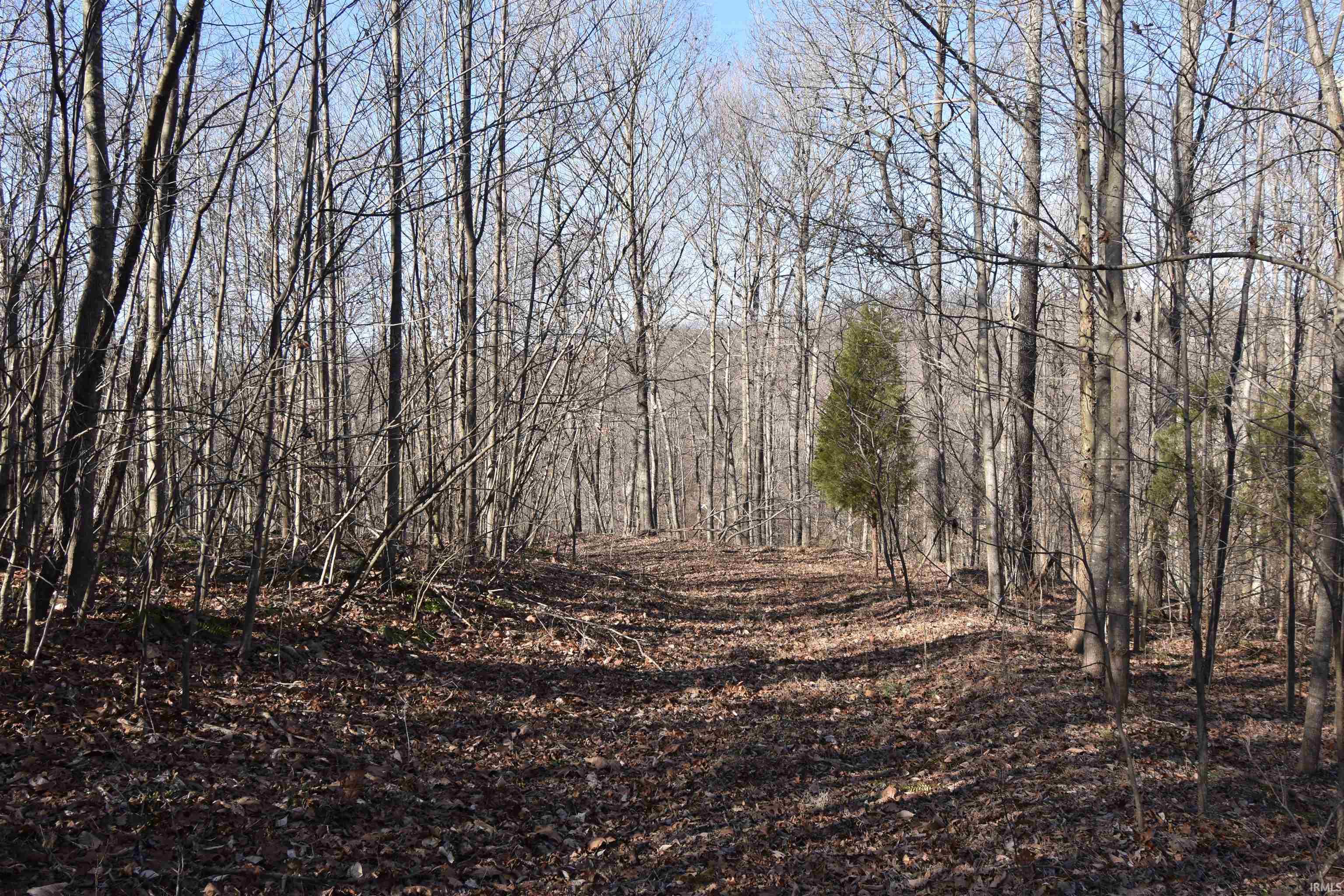 0 South Harts Gravel Road Birdseye, IN 47513 - Photo 23 of 36