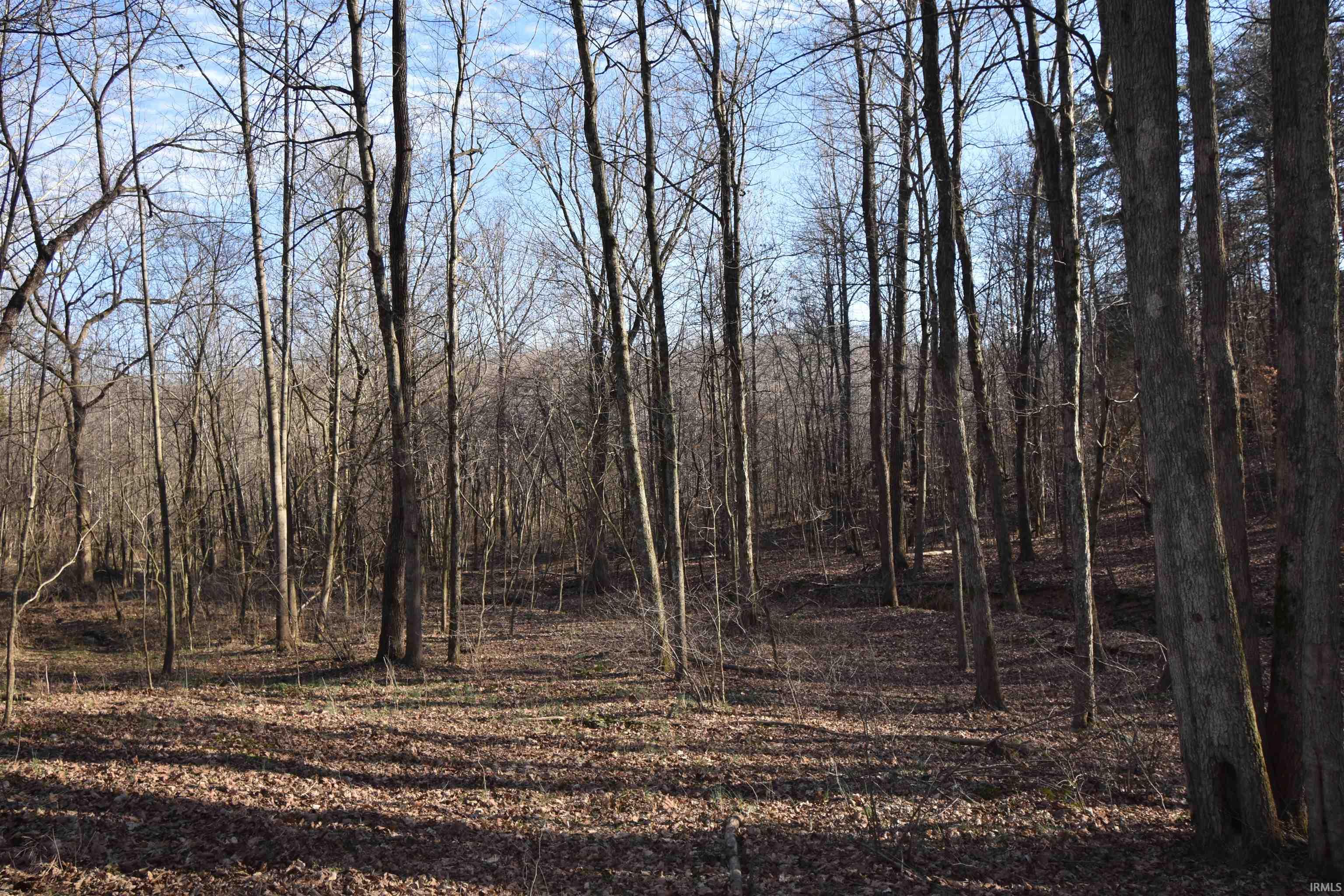 0 South Harts Gravel Road Birdseye, IN 47513 - Photo 24 of 36