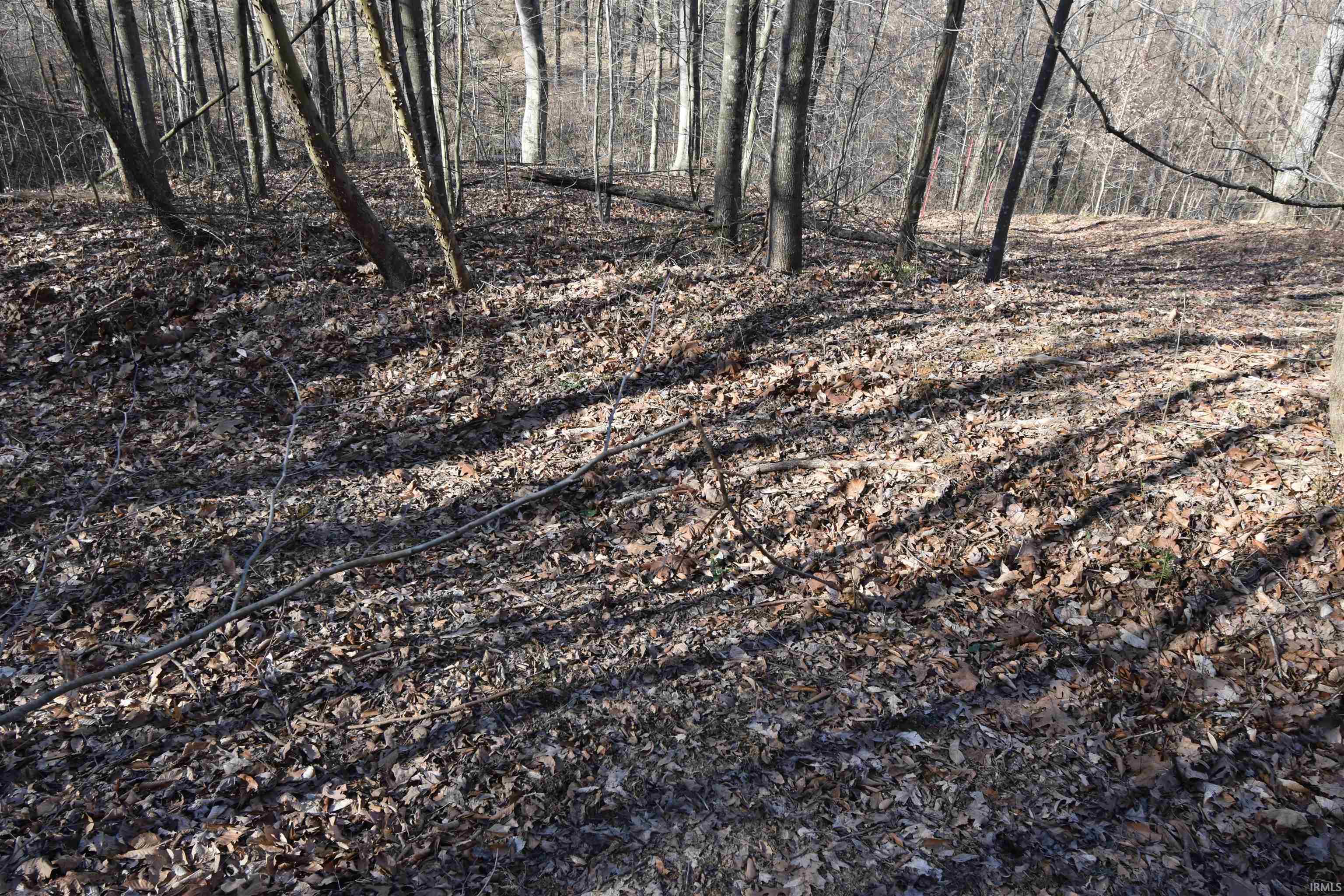 0 South Harts Gravel Road Birdseye, IN 47513 - Photo 24 of 36