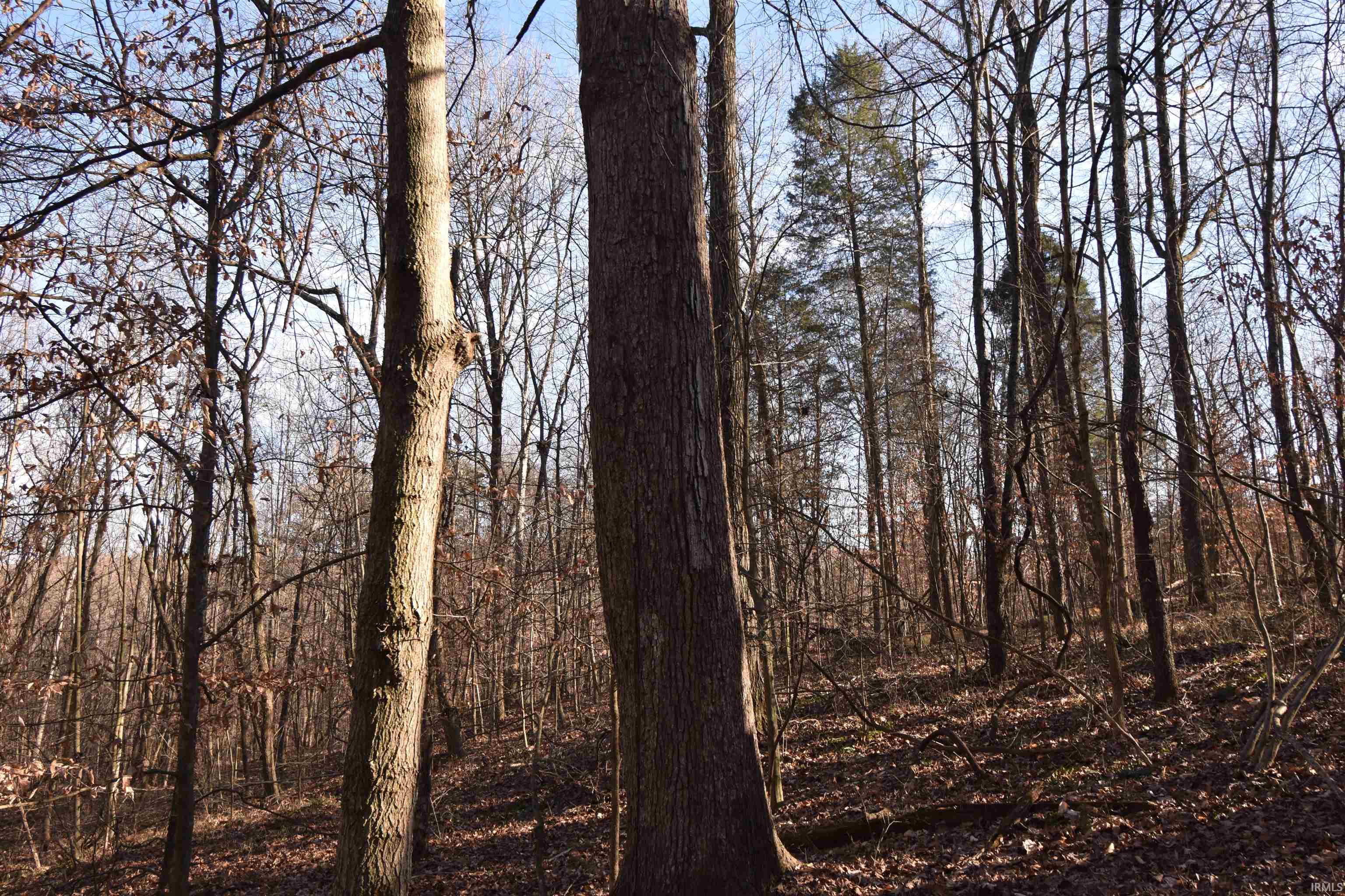 0 South Harts Gravel Road Birdseye, IN 47513 - Photo 25 of 36