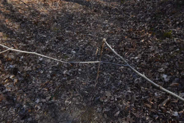 $520,000 | 0 South Harts Gravel Road, Birdseye, IN 47513