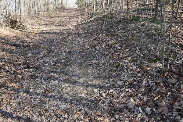 $520,000 | 0 South Harts Gravel Road, Birdseye, IN 47513