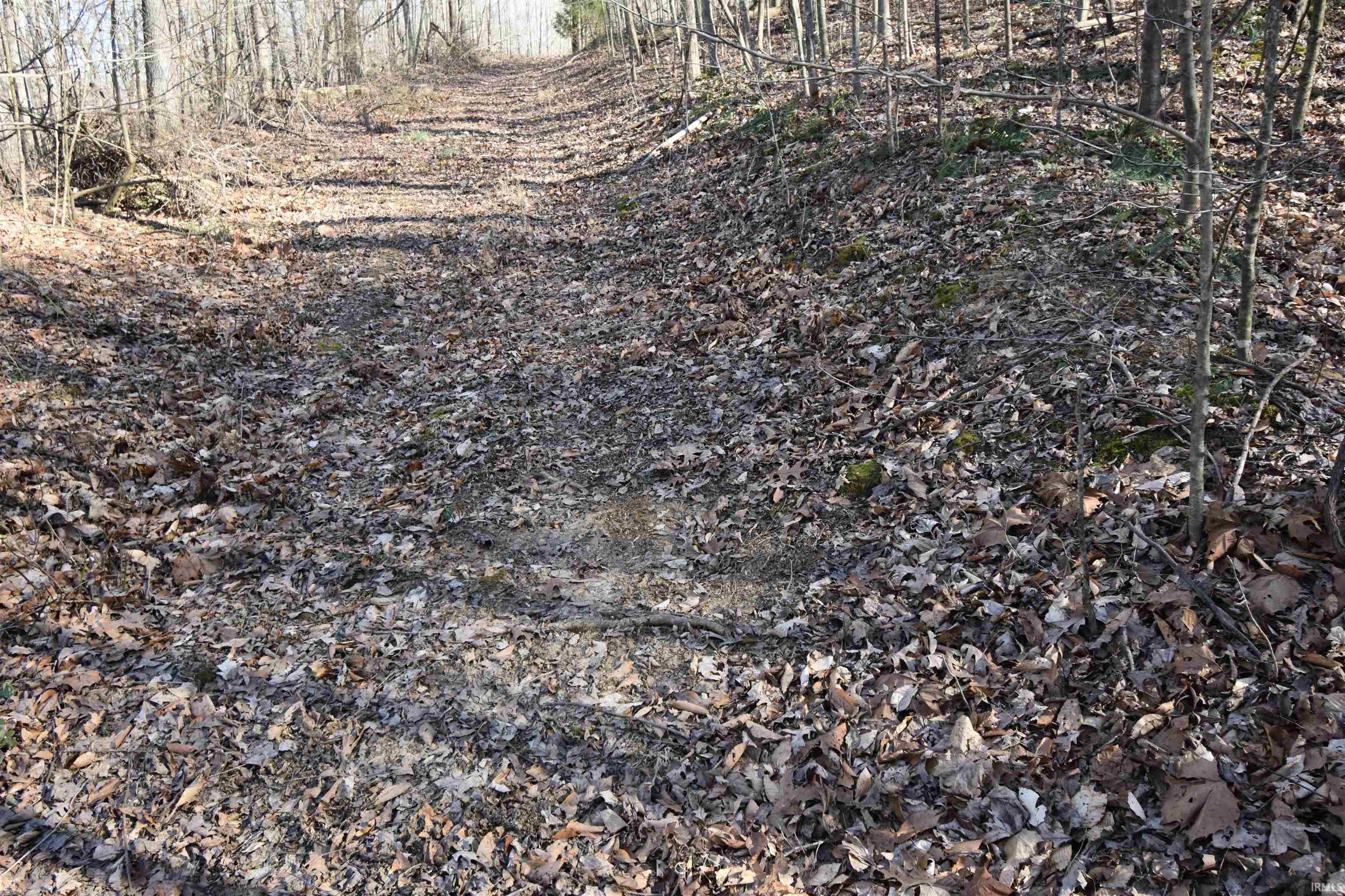 0 South Harts Gravel Road Birdseye, IN 47513 - Photo 26 of 36