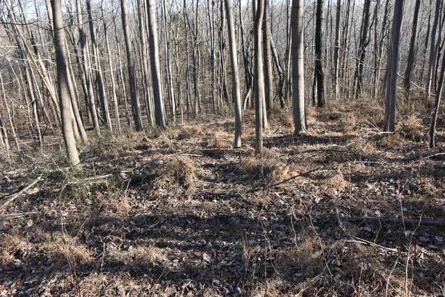 $520,000 | 0 South Harts Gravel Road, Birdseye, IN 47513
