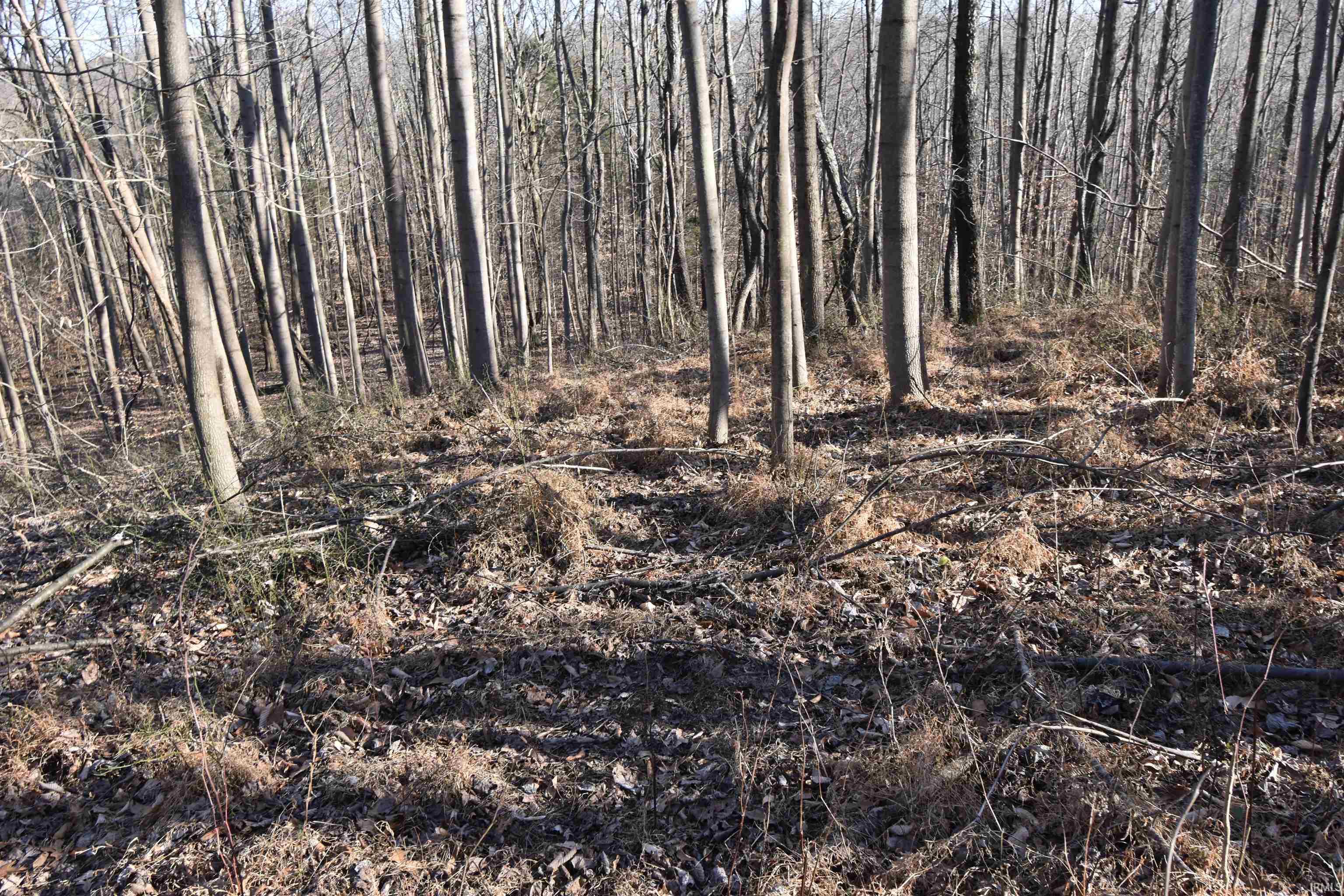 0 South Harts Gravel Road Birdseye, IN 47513 - Photo 26 of 36