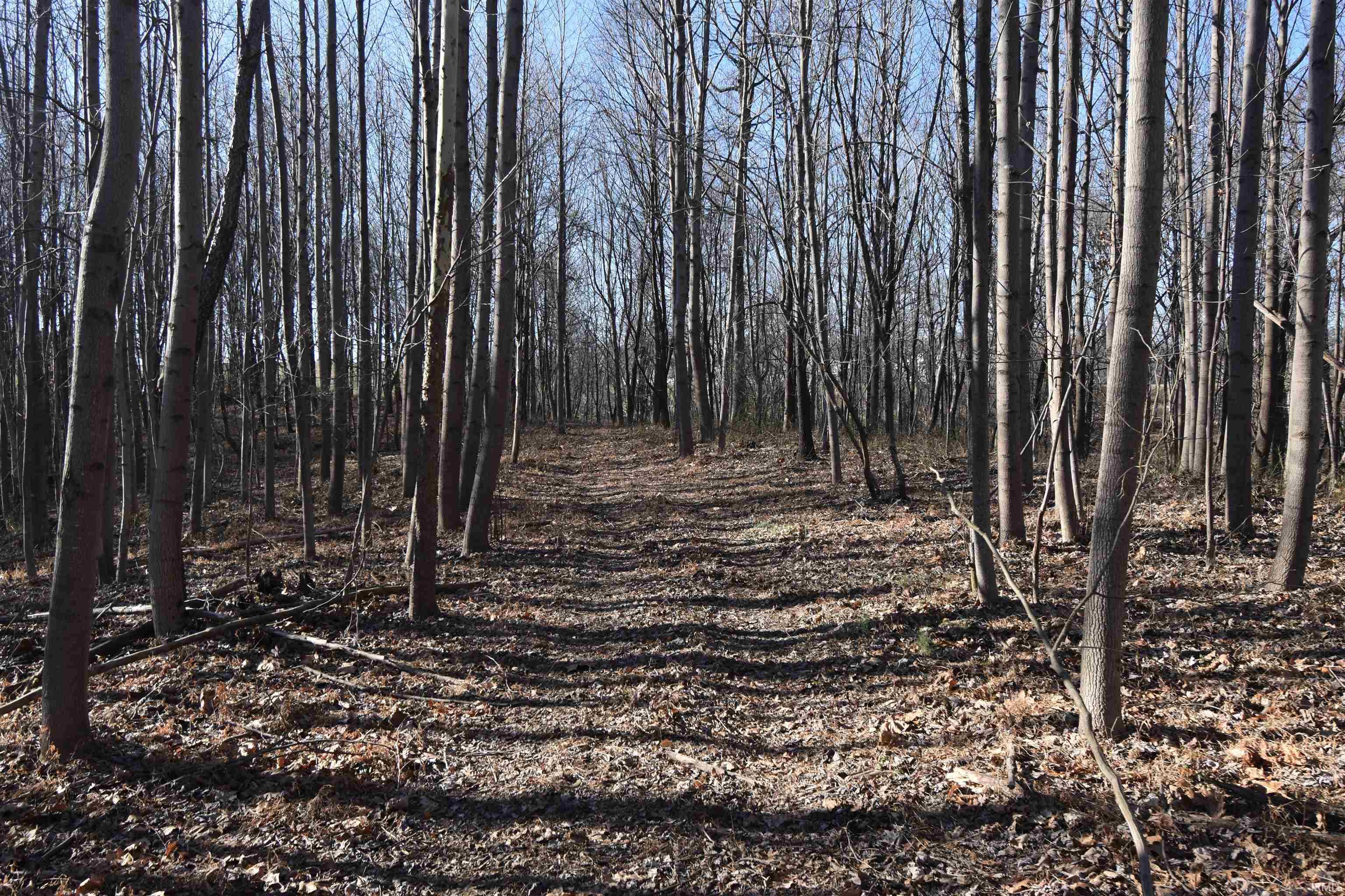 0 South Harts Gravel Road Birdseye, IN 47513 - Photo 27 of 36