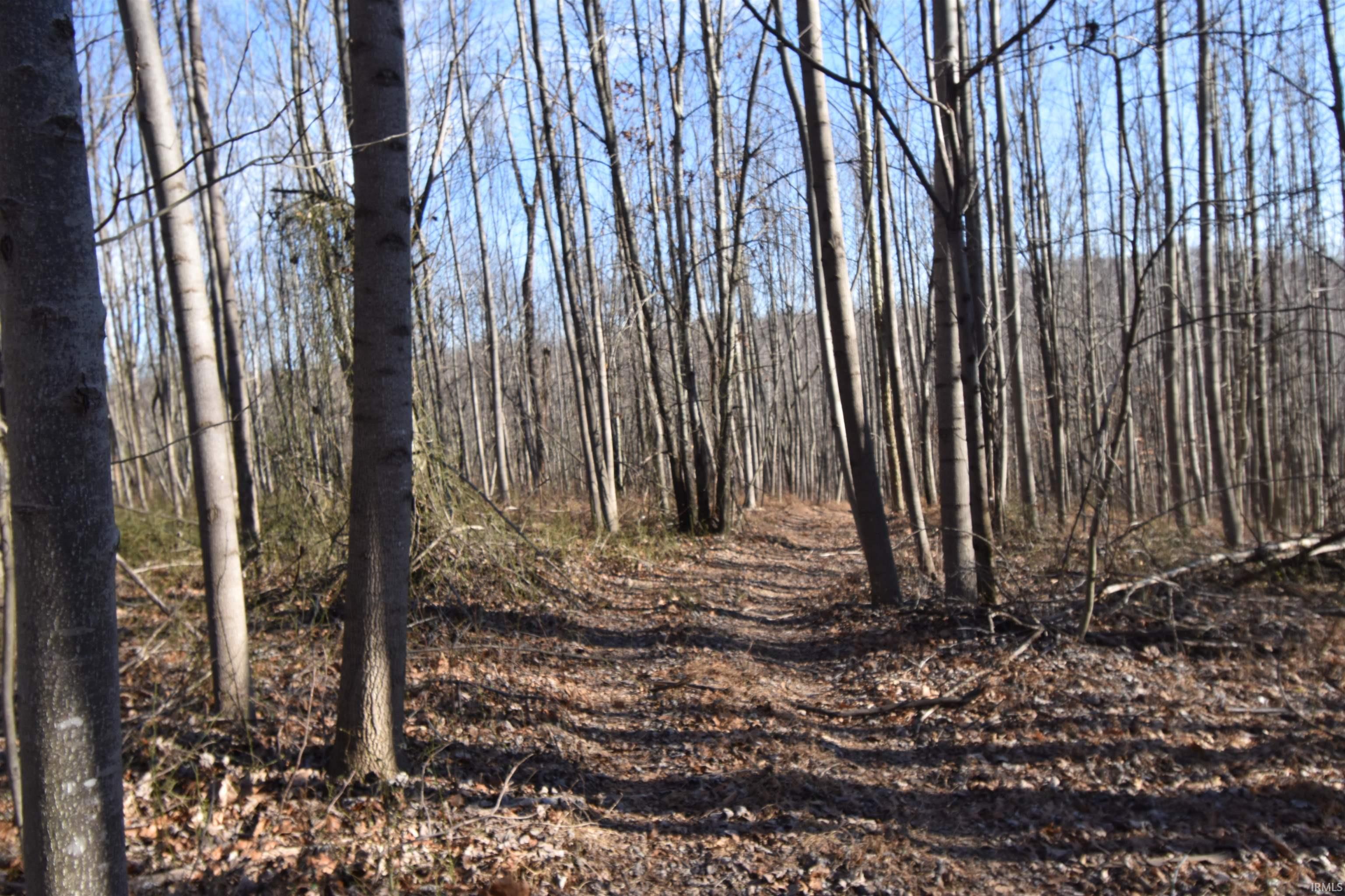 0 South Harts Gravel Road Birdseye, IN 47513 - Photo 27 of 36