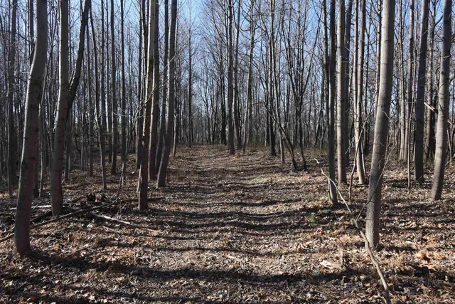 $520,000 | 0 South Harts Gravel Road, Birdseye, IN 47513