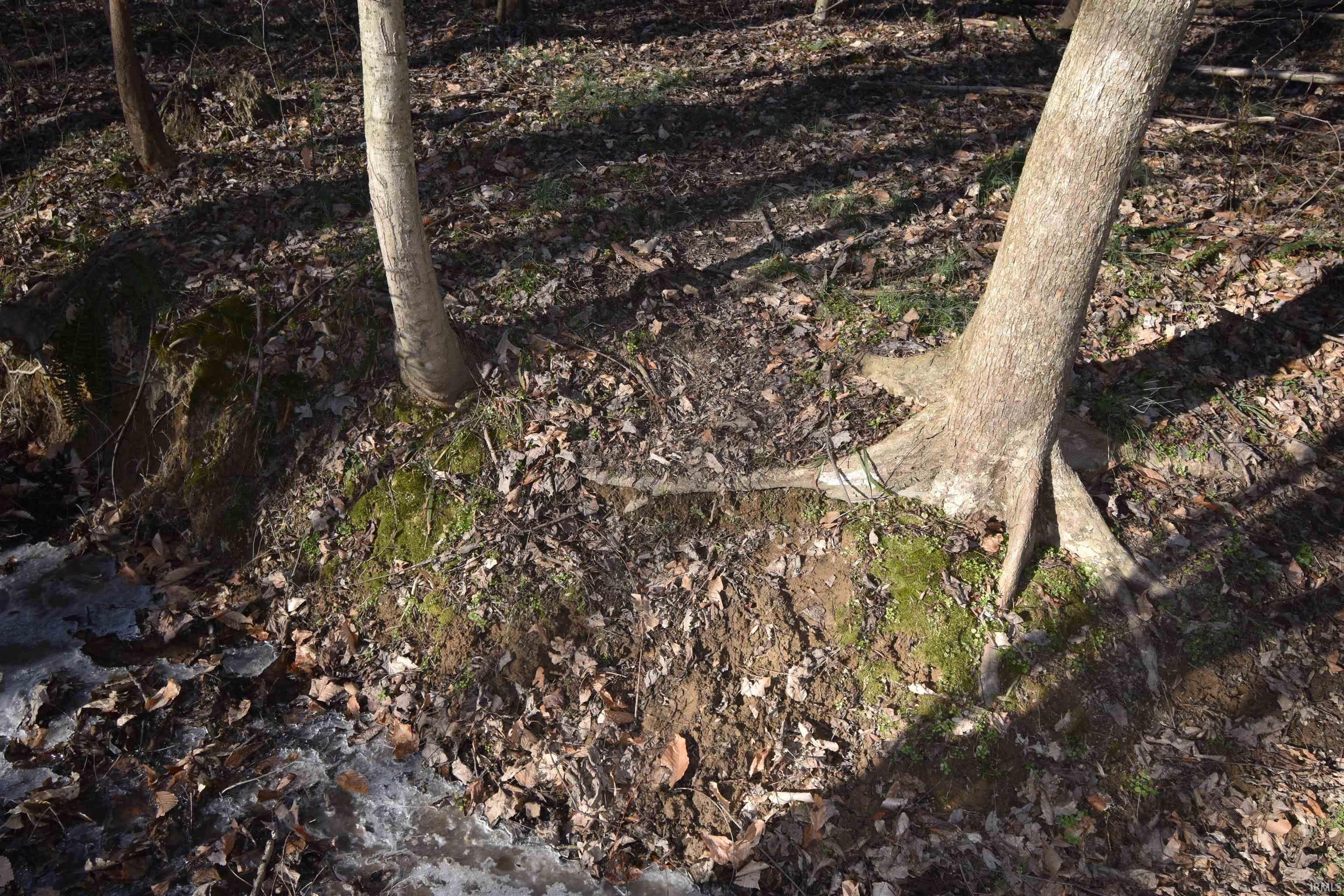 0 South Harts Gravel Road Birdseye, IN 47513 - Photo 29 of 36