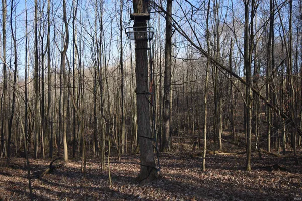 $520,000 | 0 South Harts Gravel Road, Birdseye, IN 47513
