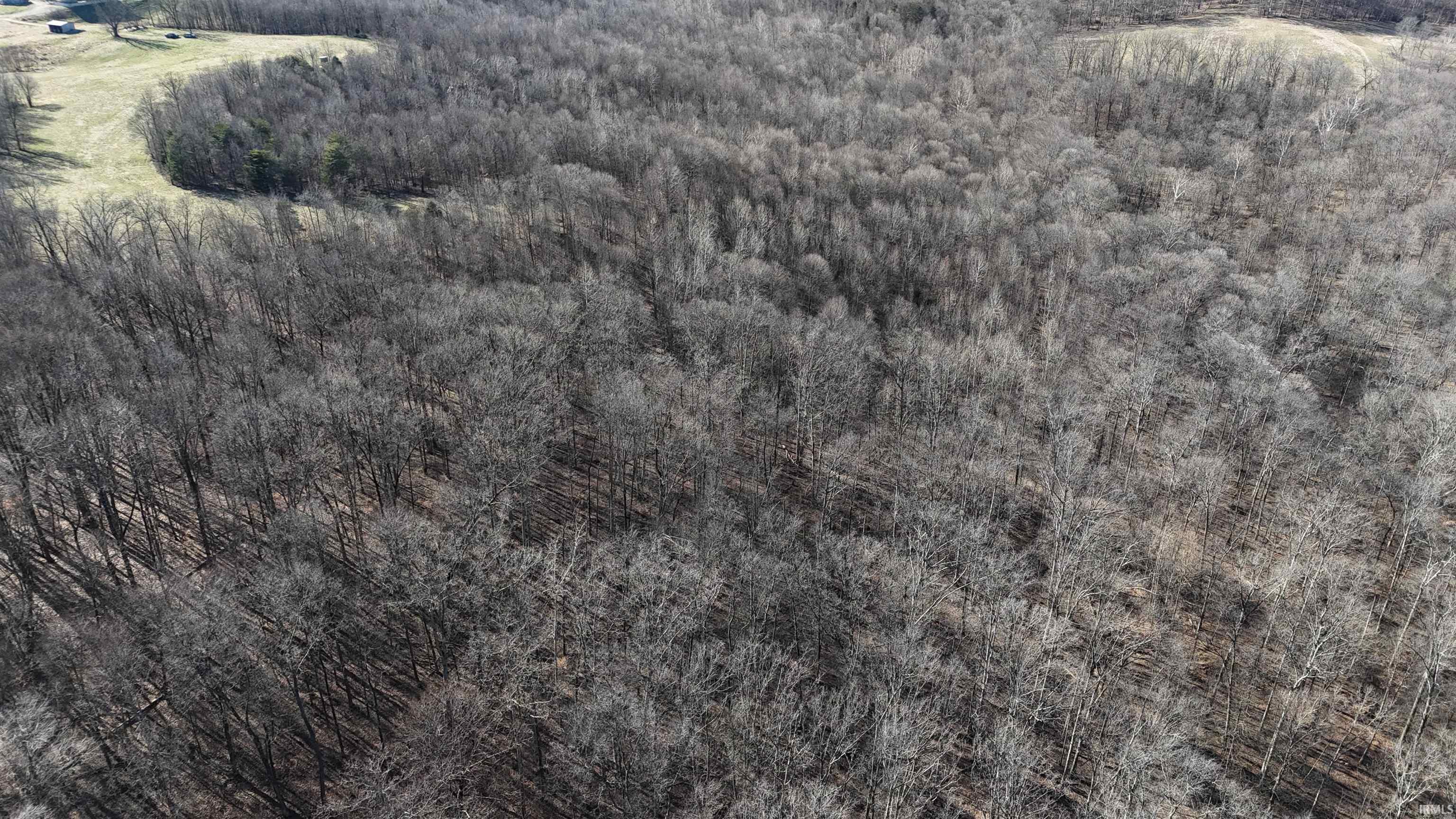 0 South Harts Gravel Road Birdseye, IN 47513 - Photo 3 of 36