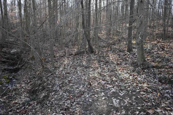 $520,000 | 0 South Harts Gravel Road, Birdseye, IN 47513