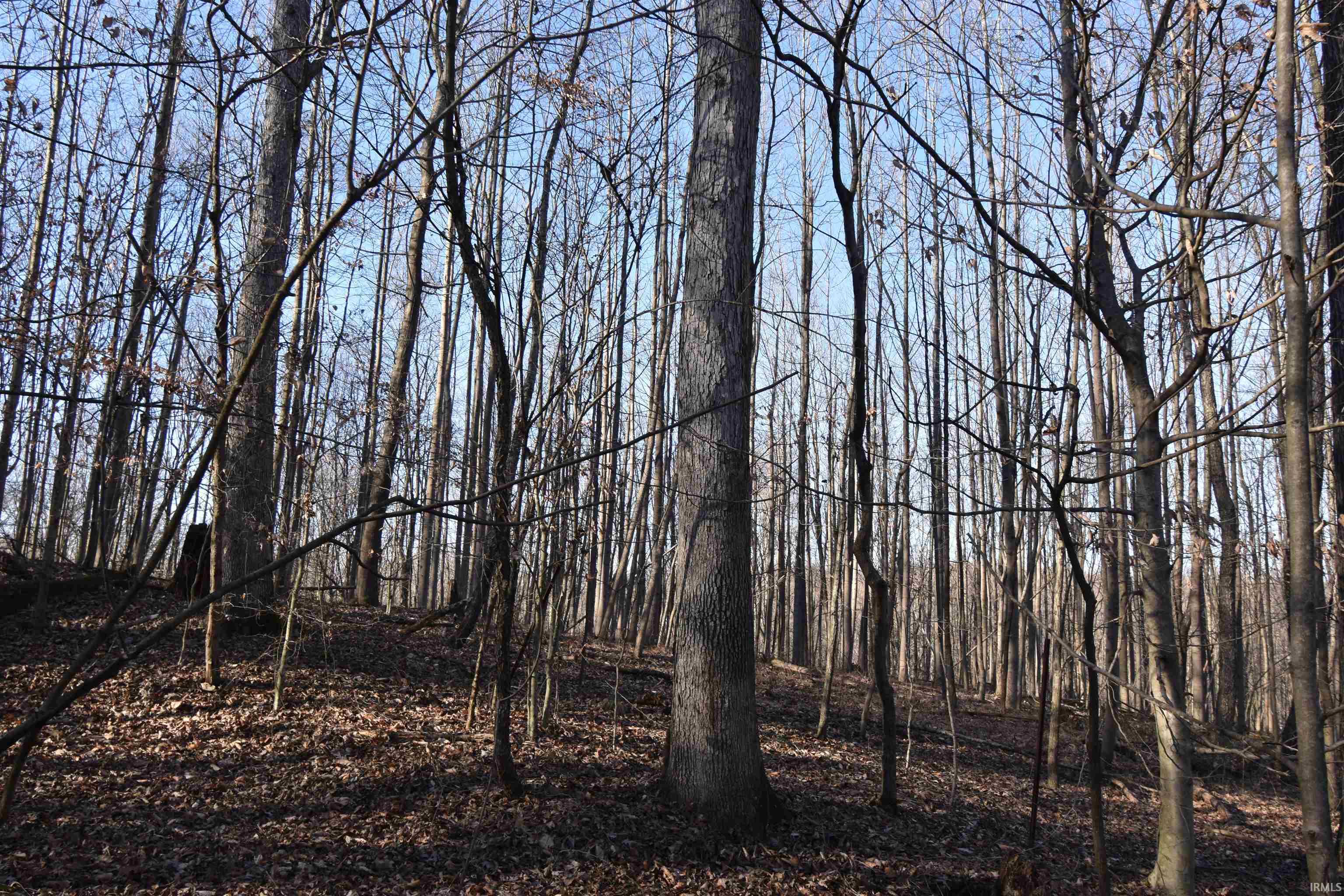 0 South Harts Gravel Road Birdseye, IN 47513 - Photo 31 of 36