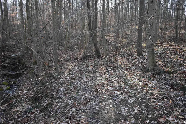 $520,000 | 0 South Harts Gravel Road, Birdseye, IN 47513