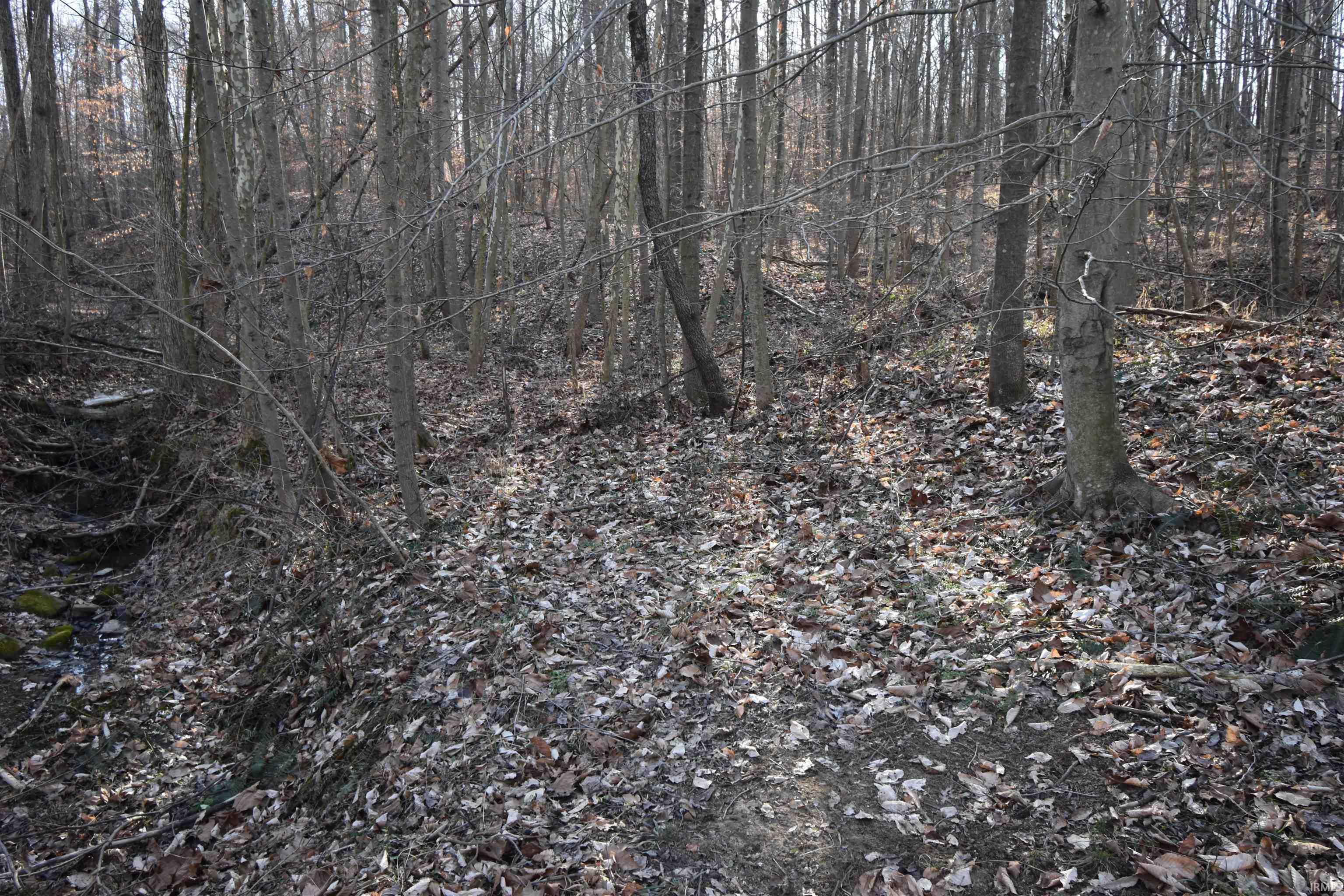 0 South Harts Gravel Road Birdseye, IN 47513 - Photo 32 of 36