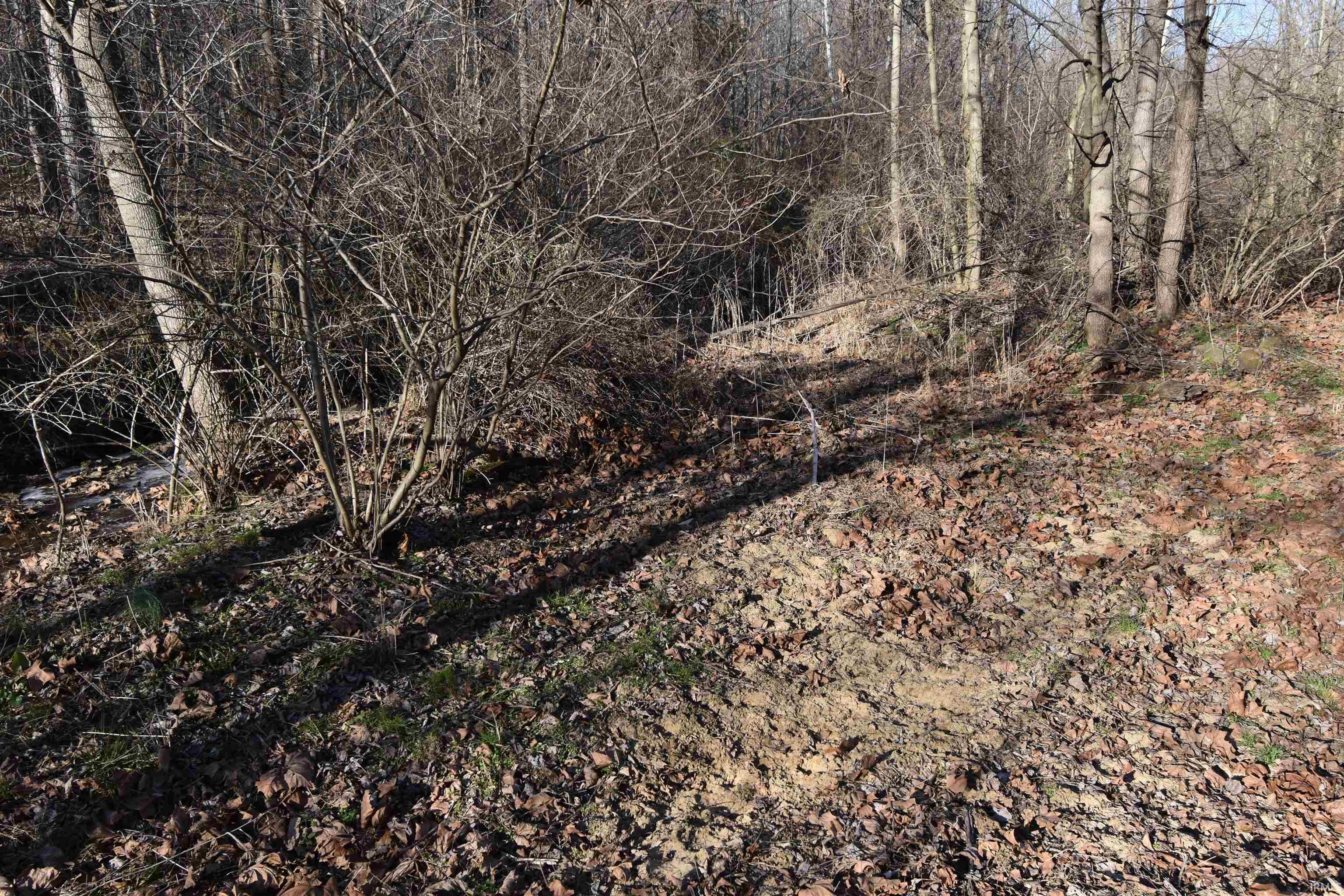 0 South Harts Gravel Road Birdseye, IN 47513 - Photo 34 of 36