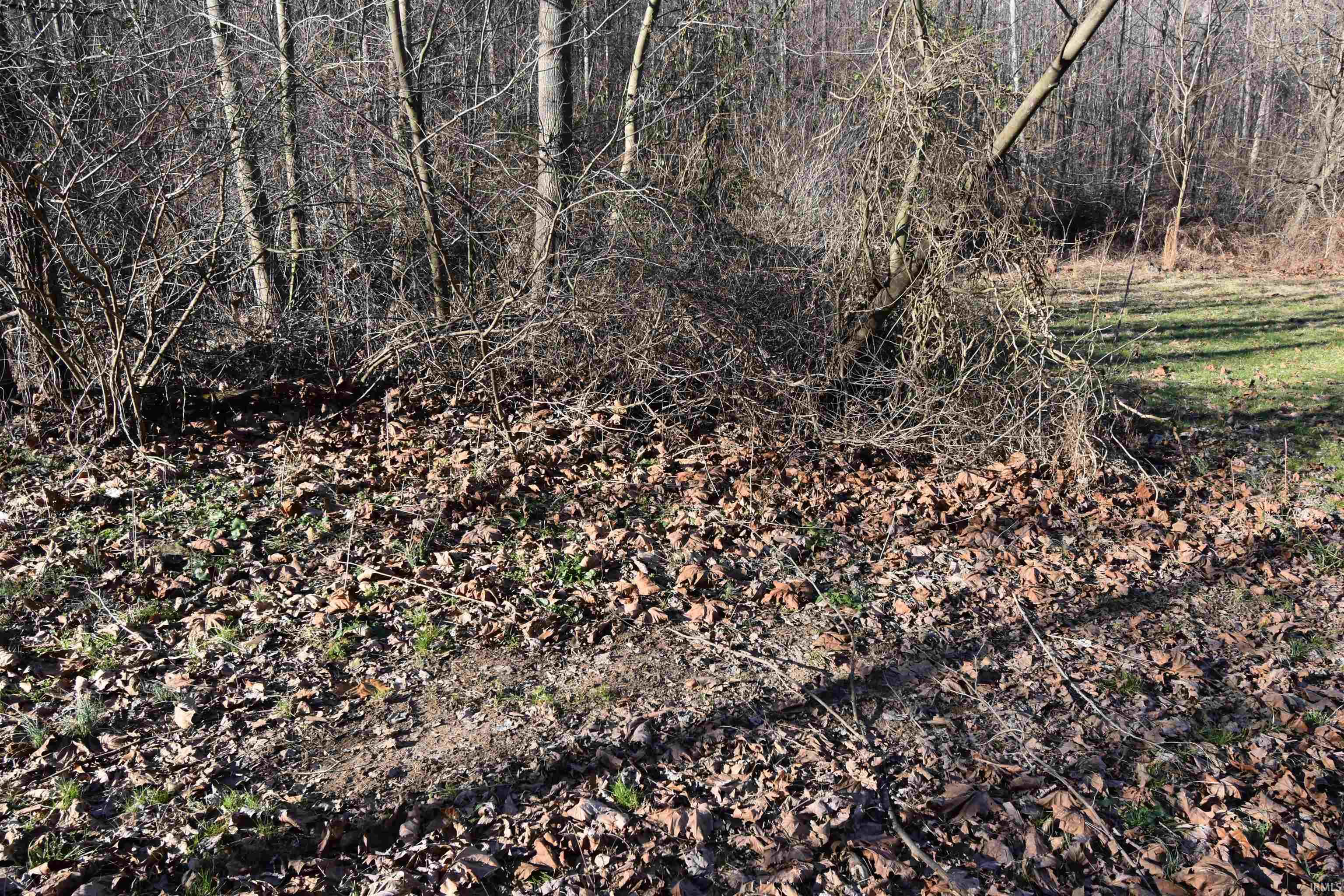 0 South Harts Gravel Road Birdseye, IN 47513 - Photo 35 of 36