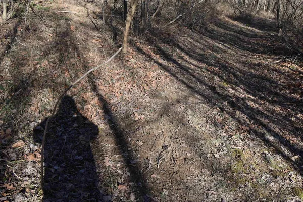 $520,000 | 0 South Harts Gravel Road, Birdseye, IN 47513