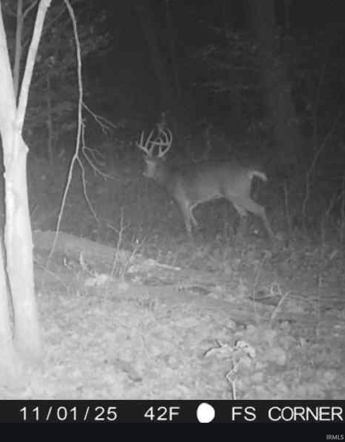 0 South Harts Gravel Road Birdseye, IN 47513 - Photo 6 of 36