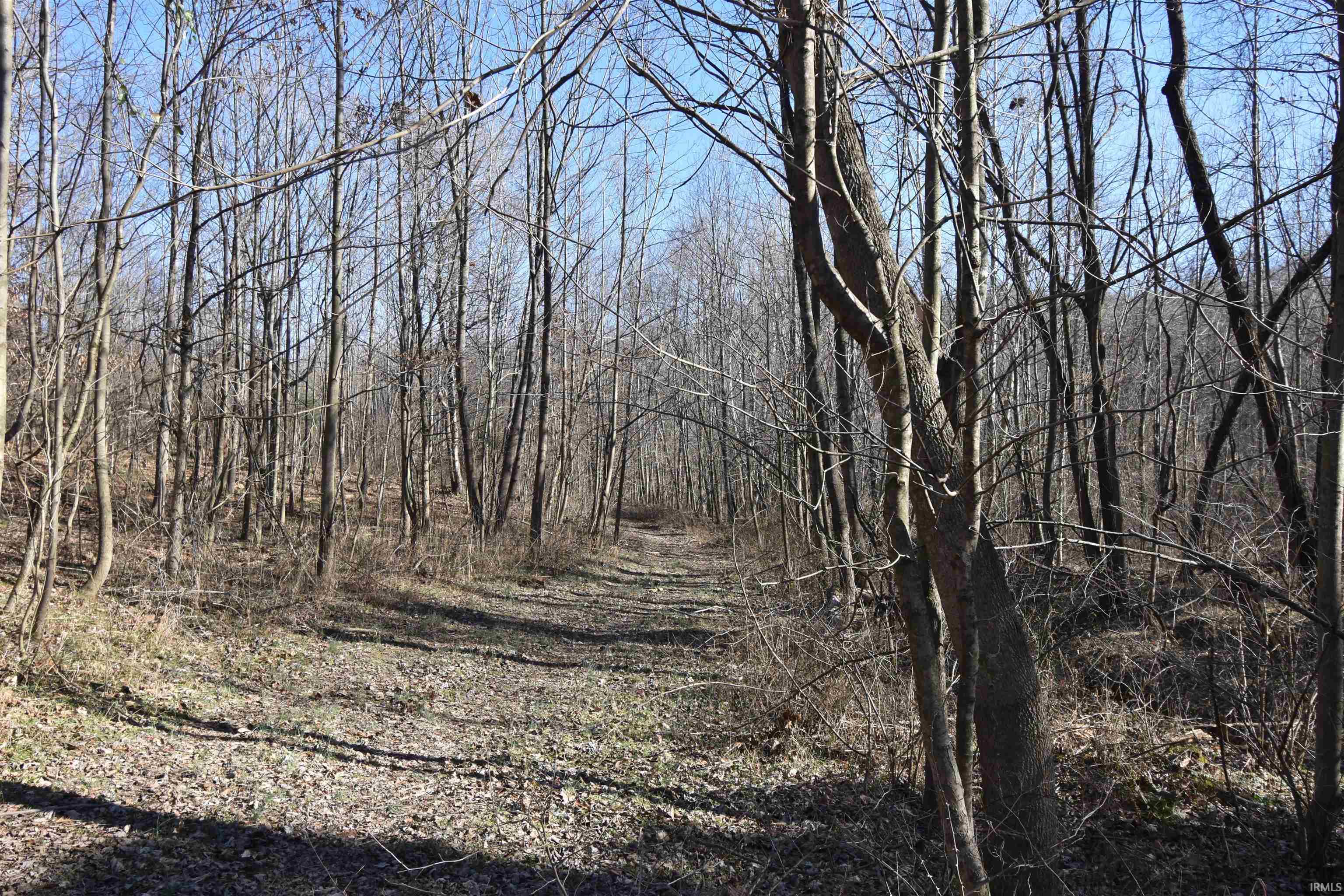 0 South Harts Gravel Road Birdseye, IN 47513 - Photo 7 of 36