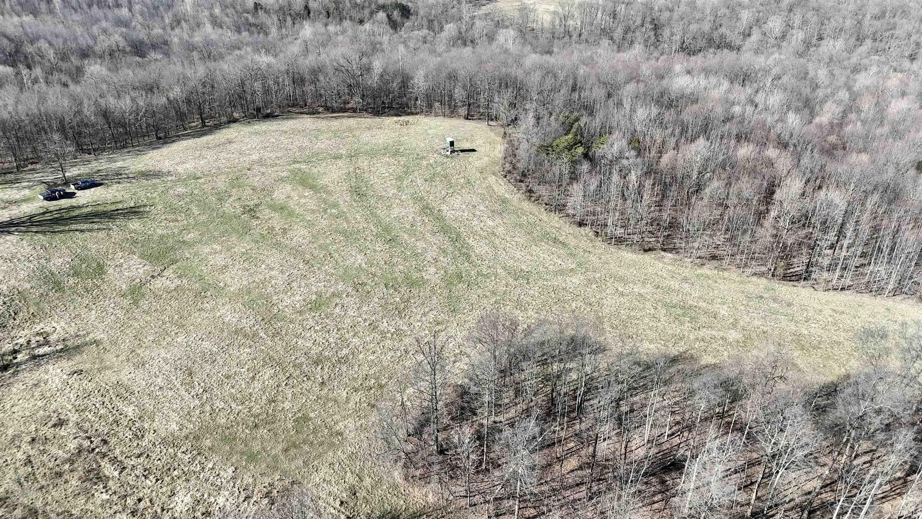 0 South Harts Gravel Road Birdseye, IN 47513 - Photo 8 of 36