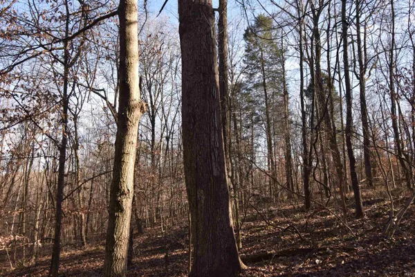 $520,000 | 0 South Harts Gravel Road, Birdseye, IN 47513