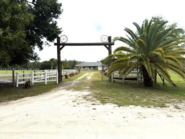a view of a yard with a tree