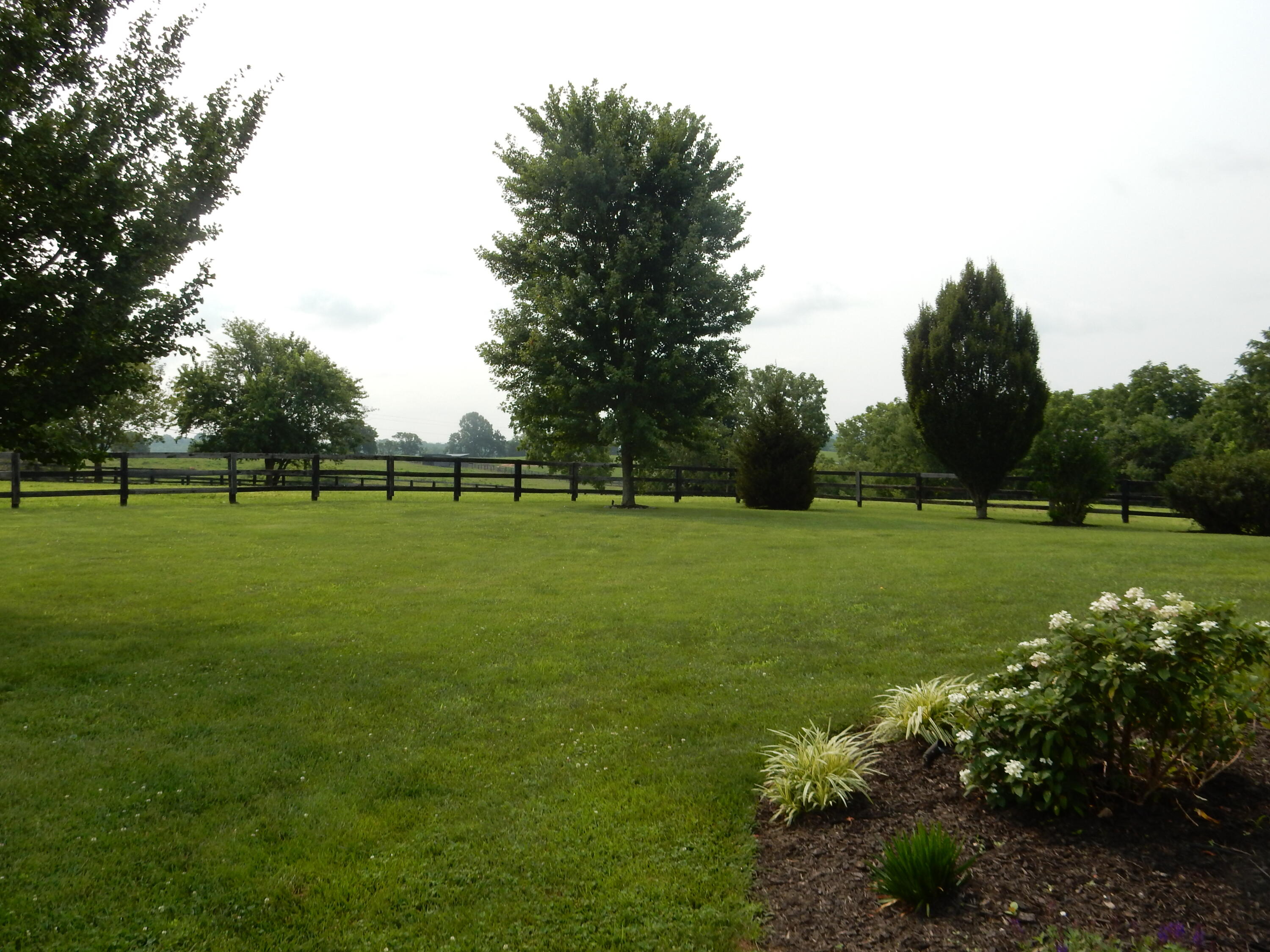 1081 Hifner Road Versailles, KY 40383 - Photo 15 of 91 1081 Hifner