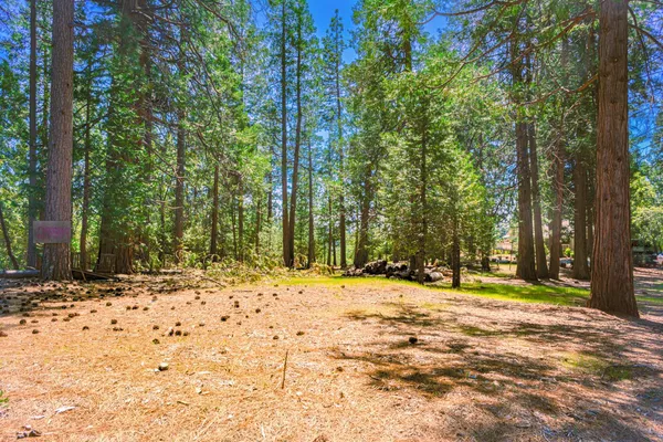 a backyard of a house with trees and snow