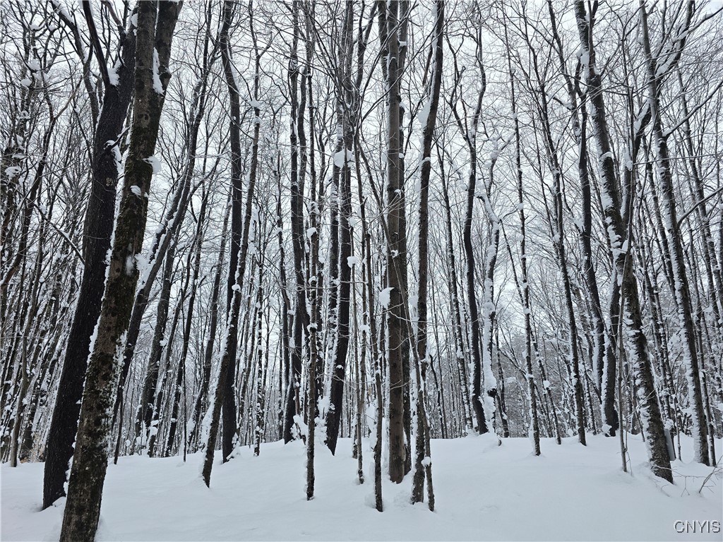 Mill Road Taberg, NY 13471 - Photo 3 of 5