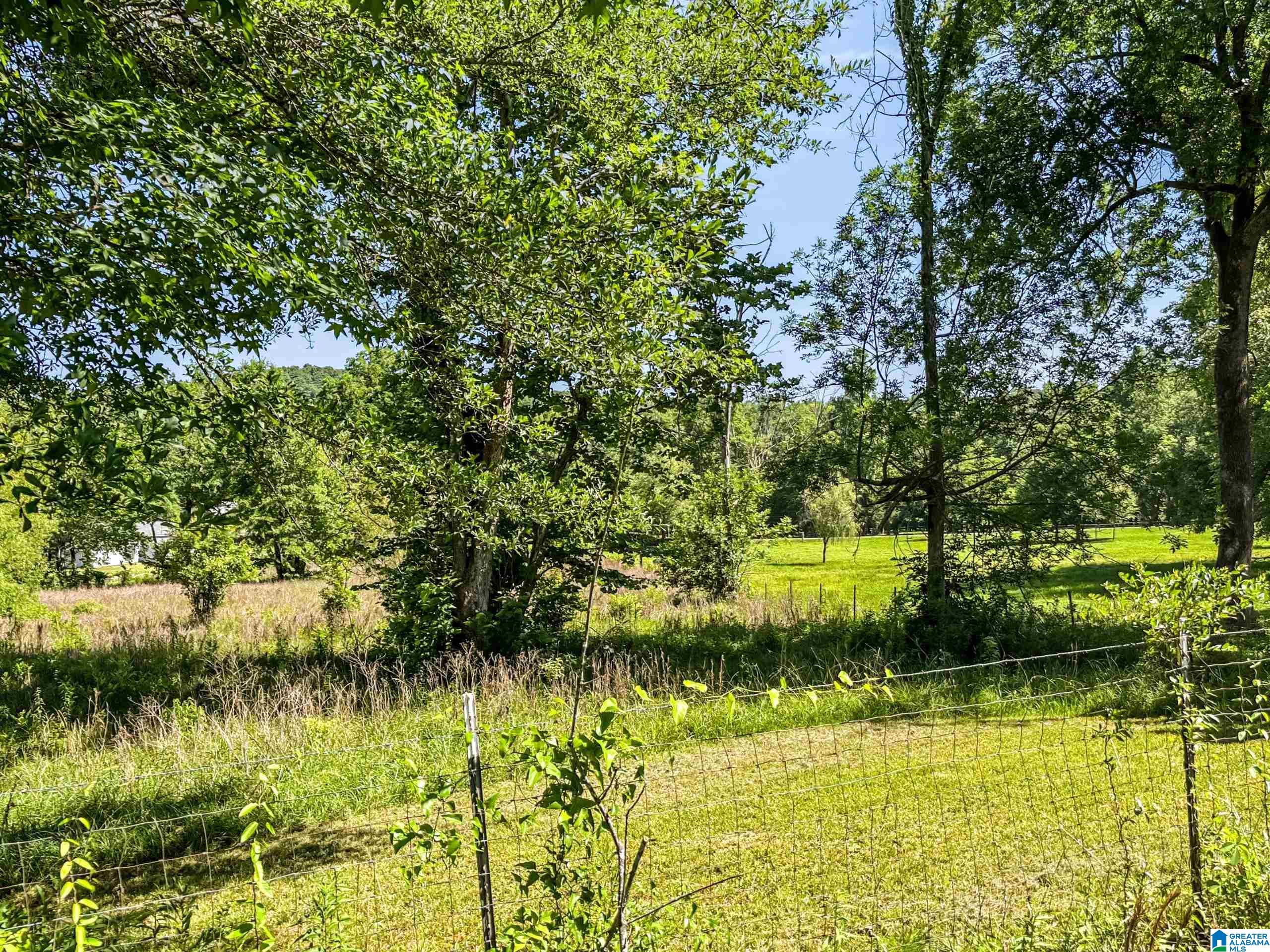 466 Seven Springs Road Wellington, AL 36279 - Photo 56 of 62