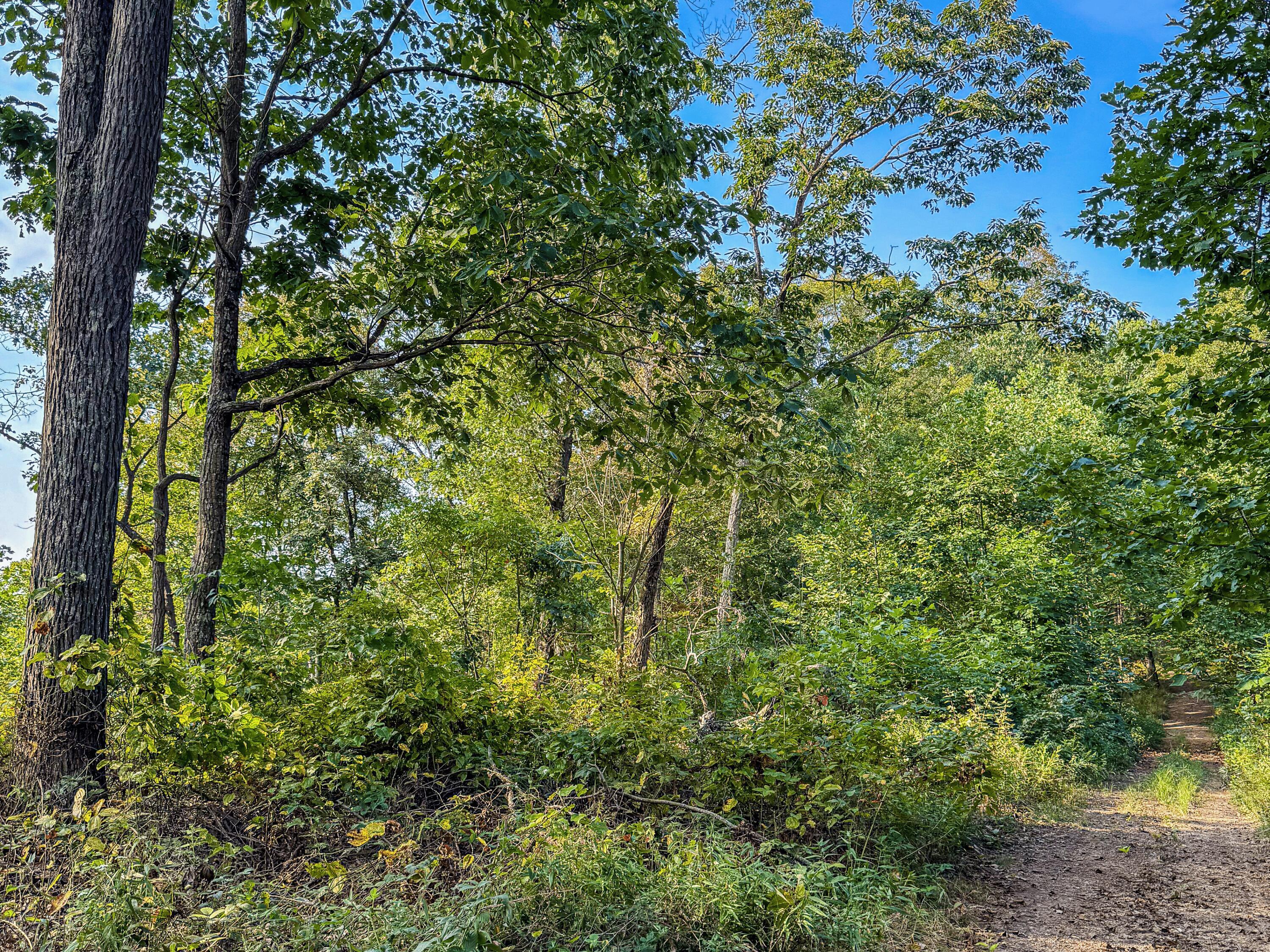 3783 Carrs Run Road Beaver, OH 45613 - Photo 31 of 50 30