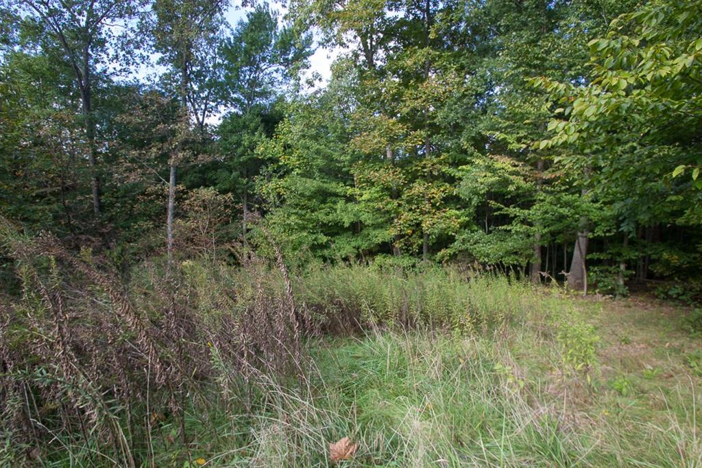 930 North Letterman Road Paragon, IN 46166 - Photo 14 of 14