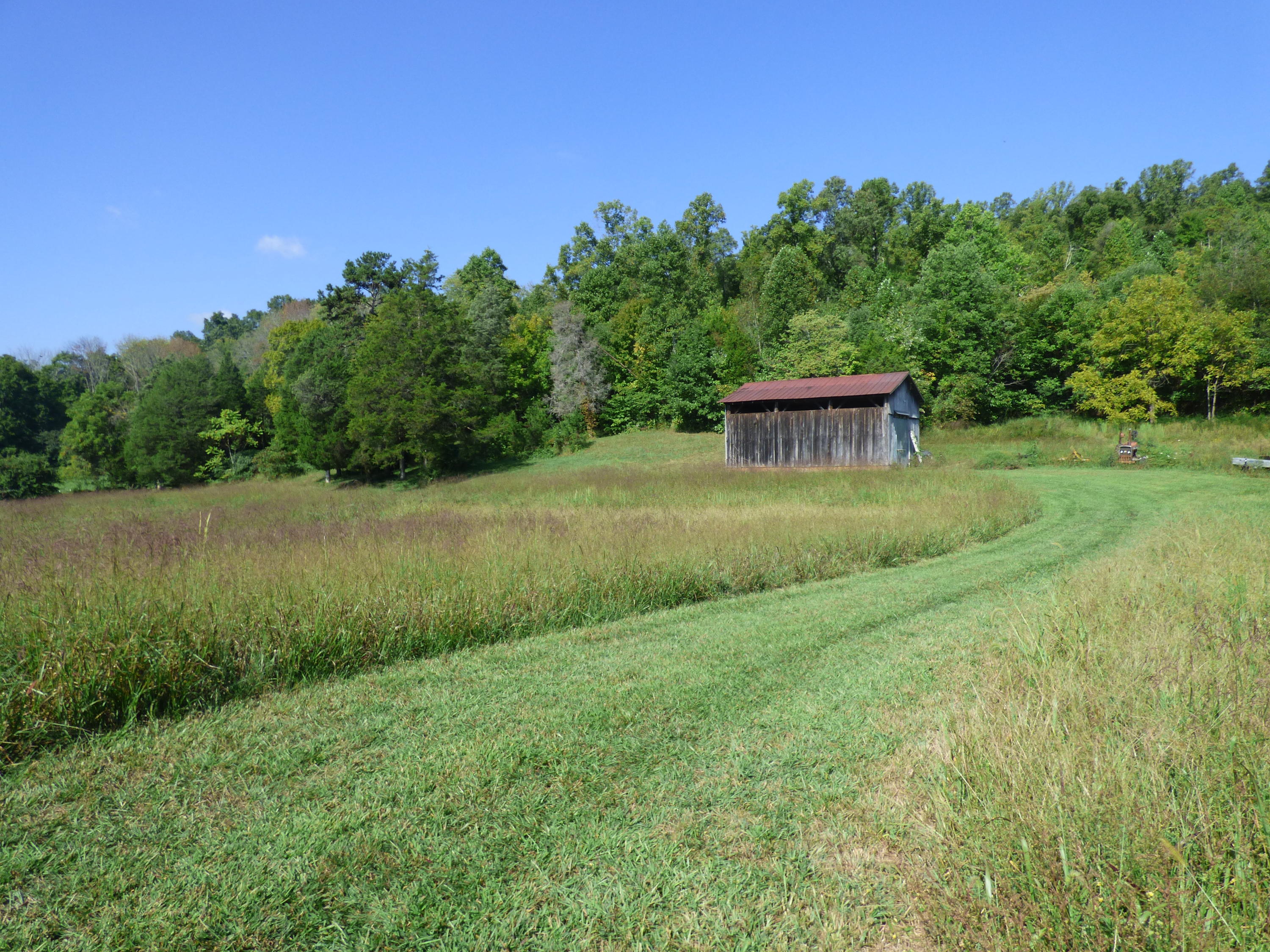 8127 Thompson School Road Corryton, TN 37721 - Photo 22 of 32 P1000564