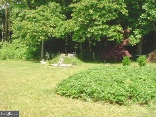8 Decatur Street Berlin, MD 21811 - Photo 7 of 9 Gallery Image 7
