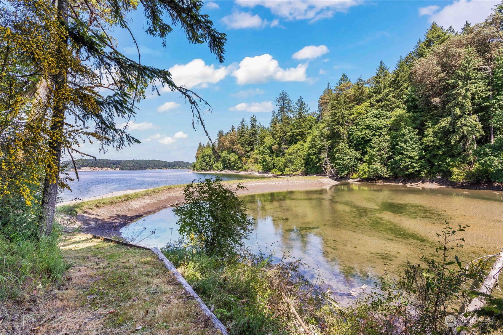 8615 Higgins Cove Road Anderson Island, WA 98303 - Photo 2 of 40 a view of a lake with outdoor space