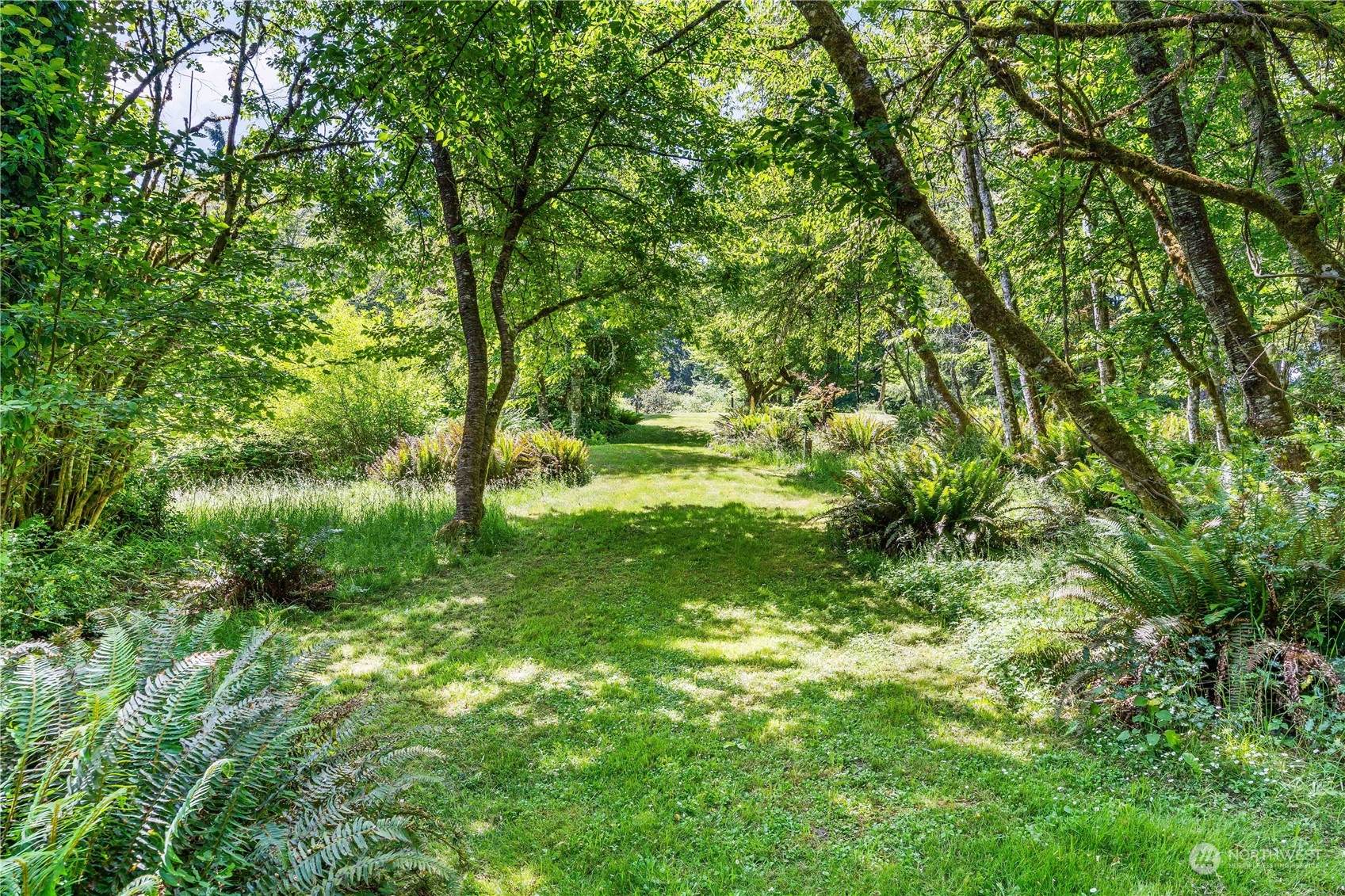 8615 Higgins Cove Road Anderson Island, WA 98303 - Photo 35 of 40 a view of yard with green space