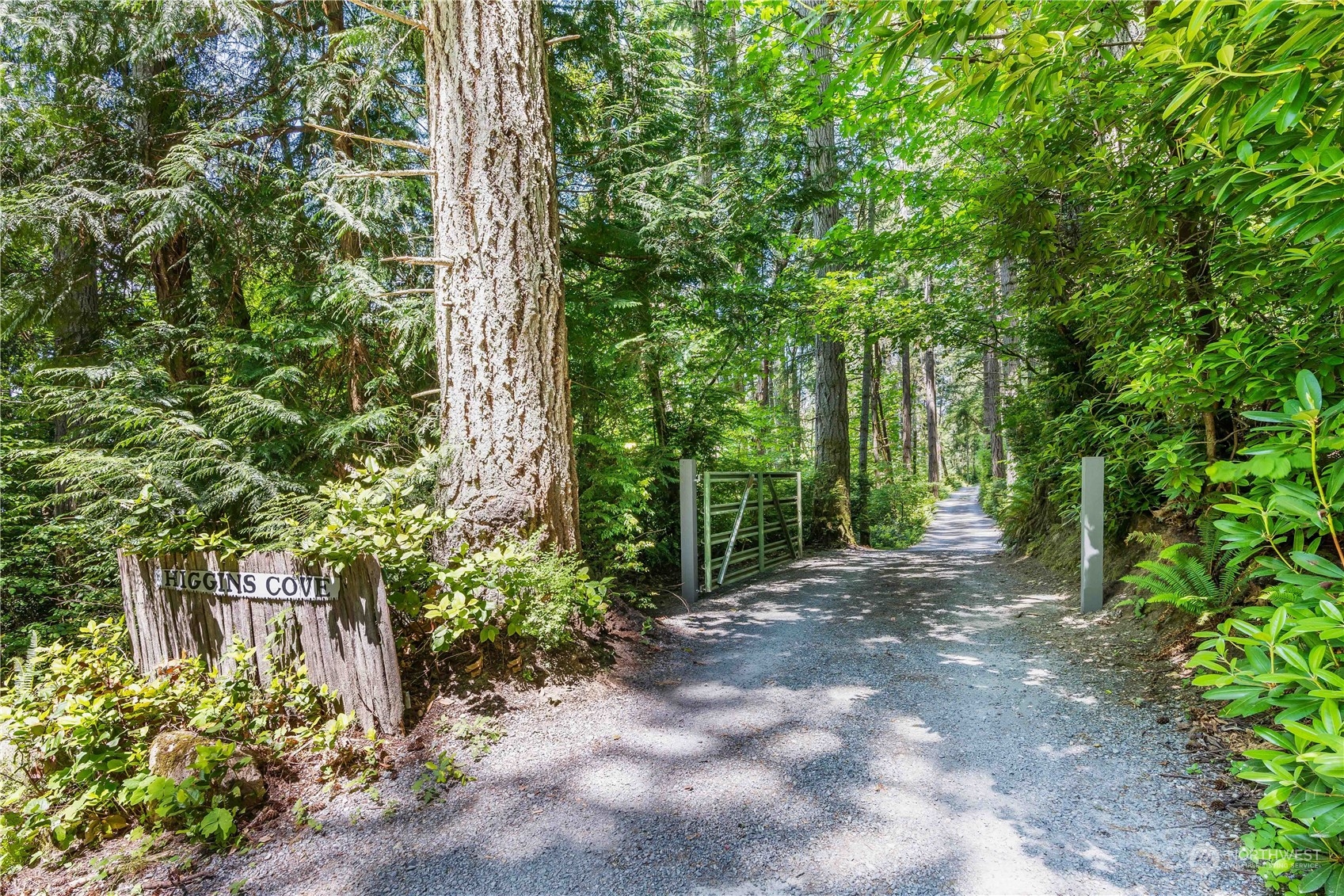 8615 Higgins Cove Road Anderson Island, WA 98303 - Photo 5 of 40 a view of outdoor space and trees